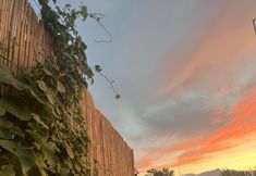 Others 3 Seaside Bungalow Konyaaltı