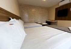 その他 3 Planaltina