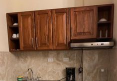 其他 5 Luna de Plata