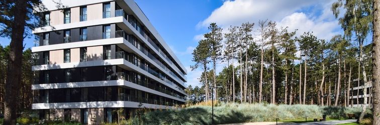 其他 RentPlanet - Shellter