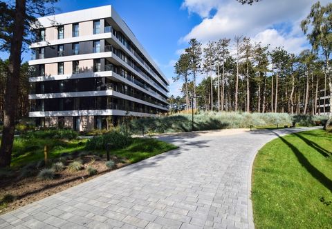 其他 RentPlanet - Shellter