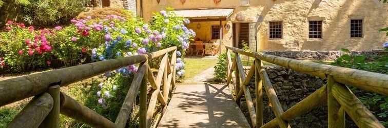 其他 Molin Barletta