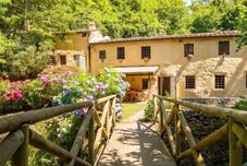 其他 Molin Barletta