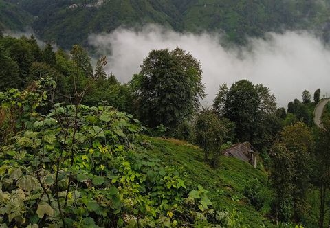 その他 Kamelya Dag Evleri