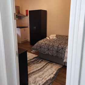 Room 1 スタジオ イン グリーンヒス, トンブリッジ・アンド・メーリング地区 ホテル