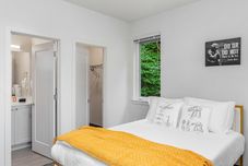 Lain-lain Yoda's Swamp Suite