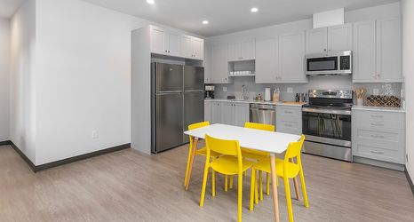 Lain-lain 2 Yoda's Swamp Suite