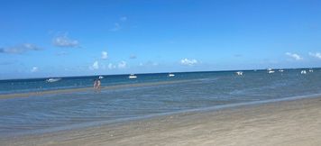 その他 6 Flat Eco Resort Praia dos Carneiros