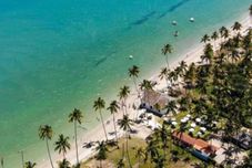 その他 Flat Eco Resort Praia dos Carneiros