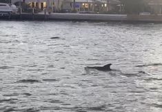 Others 7 Vistamar Waterfront Beach Abode -walk to the Beach