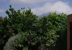 其他 2 Lb Boutique Hotel