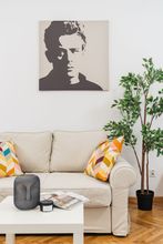 기타 4 Harmony Studio - LoftAffair