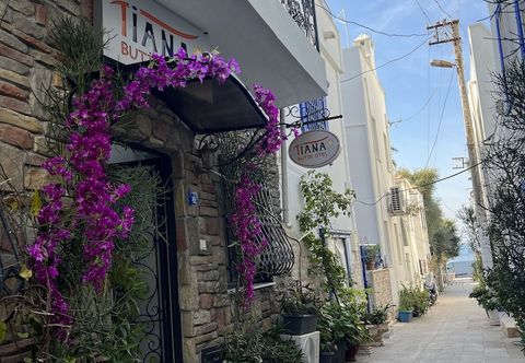其他 Tiana Butik Otel