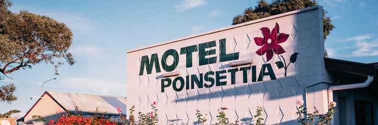 Others Motel Poinsettia