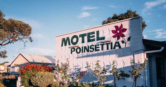 Others Motel Poinsettia