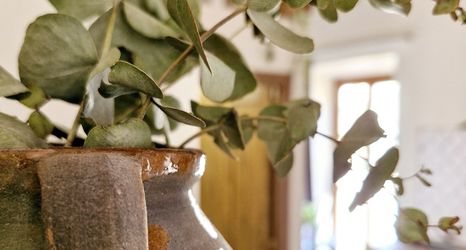 其他 2 APARTAMENTOS VITA CENTER