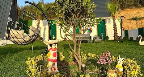 其他 2 Joy Sapanca