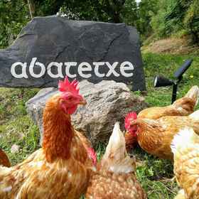 Primary image 1 Casa Rural Abatetxe, Zumarraga Hotels