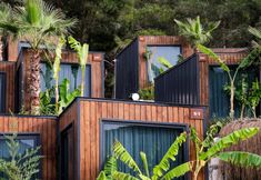 Others 7 Asha Country