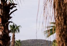 Khác 3 Asha Country