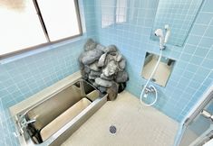 Others 5 Pension College Hakuba