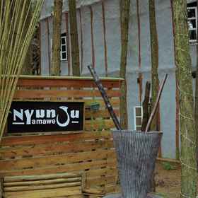 Primary image1Nyungu Yamawe Forest Park,金贾飯店