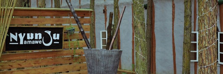 Others Nyungu Yamawe Forest Park