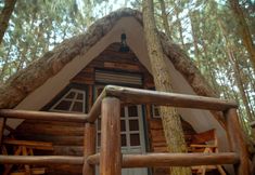 その他 7 Nyungu Yamawe Forest Park