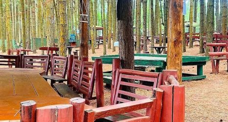 อื่นๆ 2 Nyungu Yamawe Forest Park