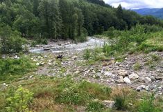 Lain-lain 5 39gs - Hot Tub - Wi-fi - Pets Ok 3 Bedroom Cabin by RedAwning