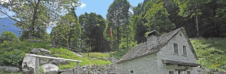 其他 Rustico alla bolla