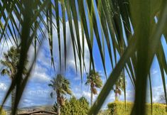 Others 7 Bodrum Villa House