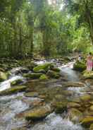 Primary image Misty Mountains Rainforest Retreat