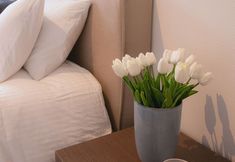 其他 5 Origer Apartments