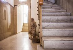 Khác 4 Exclusive New Modern Apartment at Syntagma Square