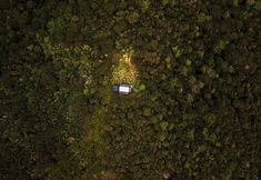 Khác 3 Korimako Purepod