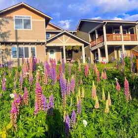 Primary image 1 セントラルタコマホームステイ -プライベートルーム-, BJ's Bingo ホテル