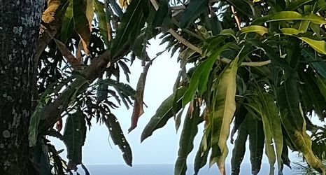 Lainnya 2 Palhoça da Colina