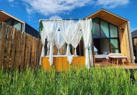 Others The field at pua