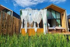 Others The field at pua