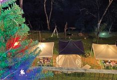 Others 7 Amornkeeree Khao Sok Camping