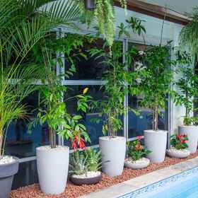 Primary image1Prestige Manaus Hotel,马瑙斯港飯店