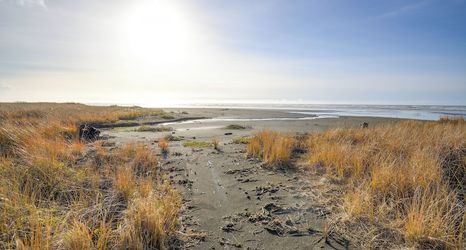 Others 2 Oceanfront Moclips Retreat w/ Beach Access & View!