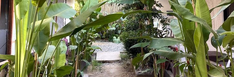 Others Jungle Hostel El Nido