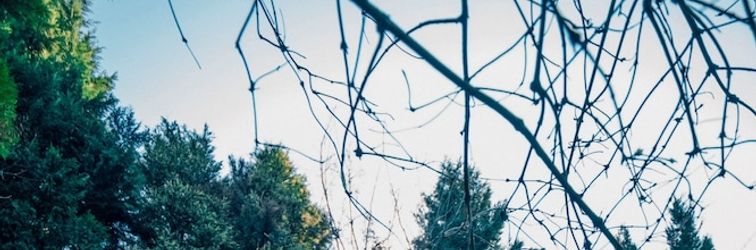 其他 Hypnos Sapanca Glamping & Spa