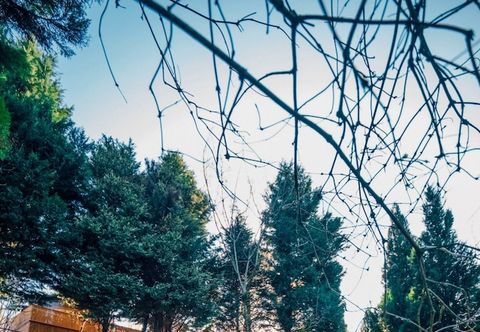 其他 Hypnos Sapanca Glamping & Spa