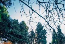 其他 Hypnos Sapanca Glamping & Spa