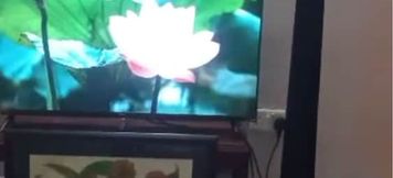 Others 2 Bawellz Beth ECO Villas