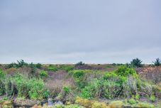 อื่นๆ Ocean Shores Condo Rental w/ View - Walk to Beach!