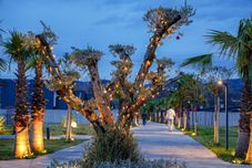 อื่นๆ Vital Göl